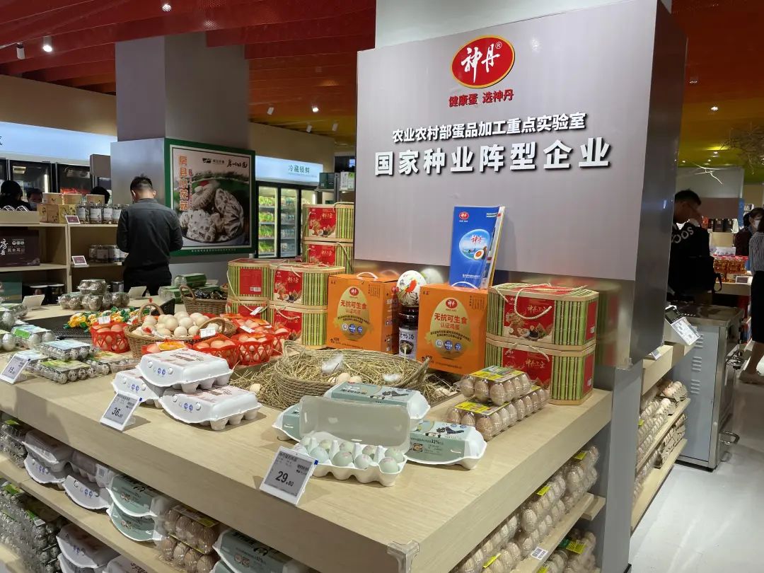 XPJ·娱乐(中国游)官方网站