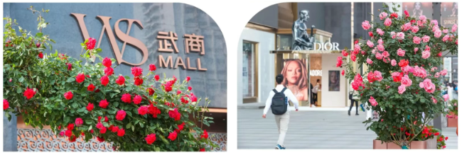 XPJ·娱乐(中国游)官方网站