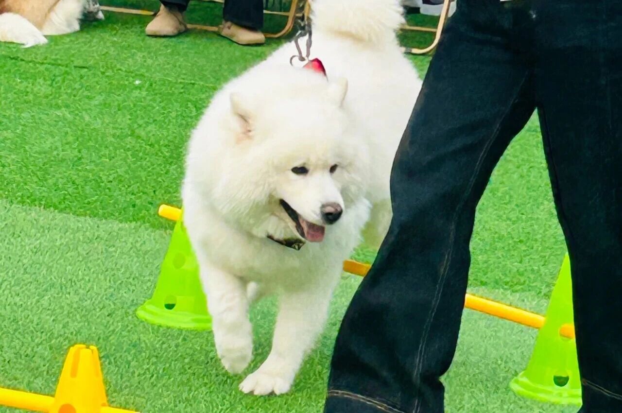 XPJ·娱乐(中国游)官方网站