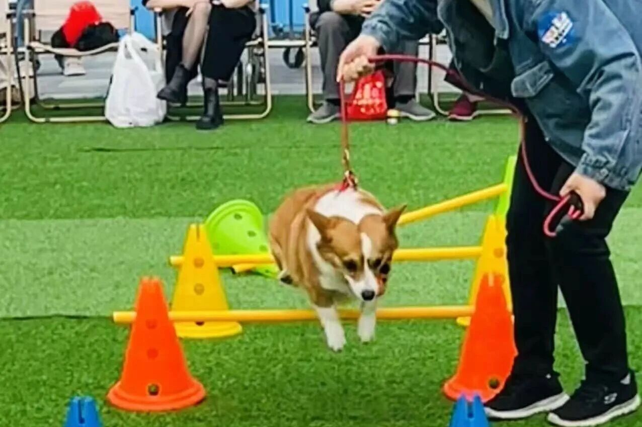 XPJ·娱乐(中国游)官方网站