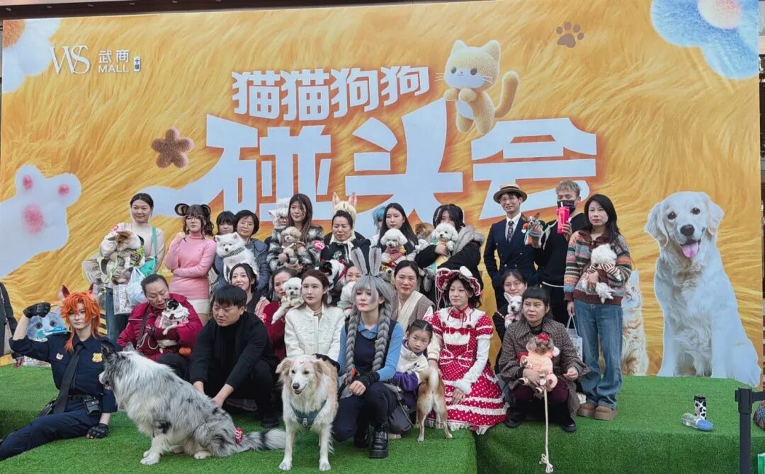 XPJ·娱乐(中国游)官方网站