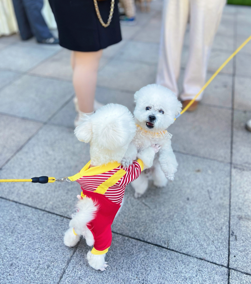 XPJ·娱乐(中国游)官方网站