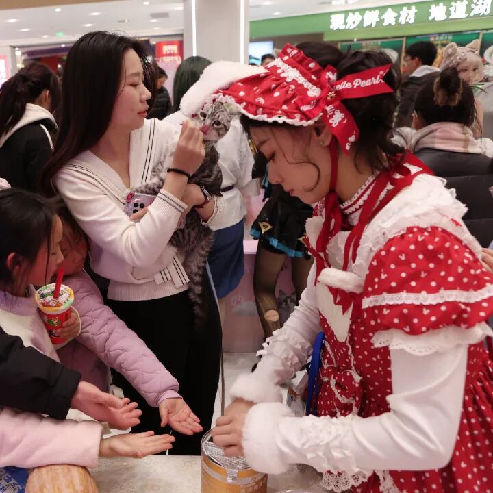 XPJ·娱乐(中国游)官方网站